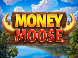 Money Moose game screenshot